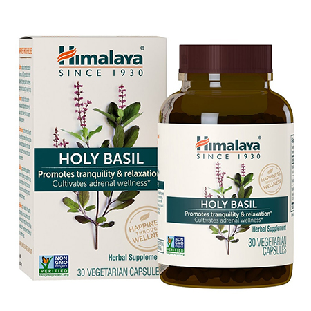 holy-basil